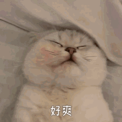 爽啦