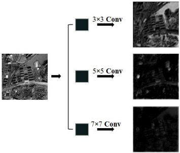 图4 从训练的MSDCNN模型的第一层选择的三个不同尺寸的卷积滤波器提取的特征图